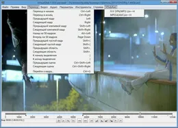 VirtualDub — скриншот 4